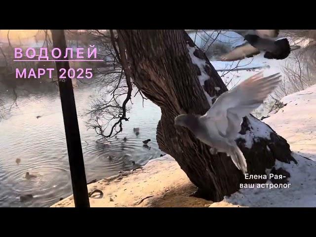 ВОДОЛЕЙ ️ ГОРОСКОП НА МАРТ 2025 ГОДА