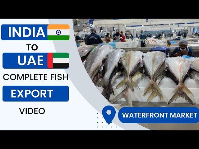 How to Export Seafood & Fish | How to Export Seafood | Fish Export Business |