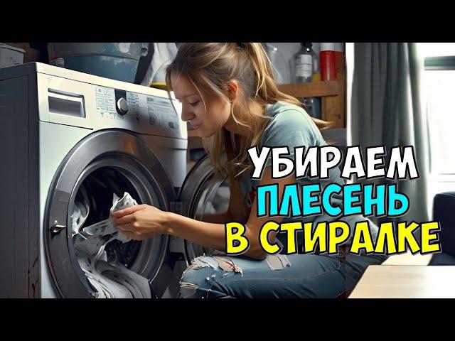 КАК ЛЕГКО УБРАТЬ ПЛЕСЕНЬ С РЕЗИНЫ СТИРАЛЬНОЙ МАШИНЫ