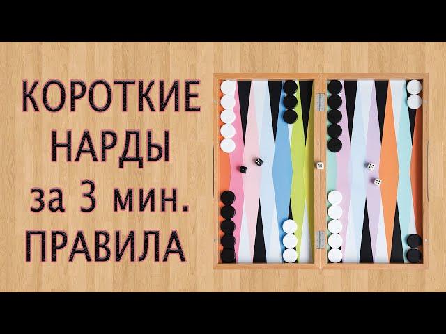  Nardy how to play  BackGammoN rules in 3 minutes 