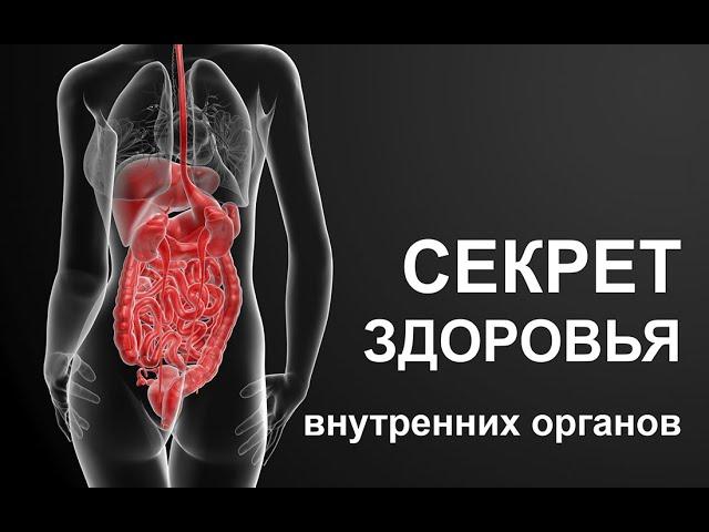 Секреты здоровья внутренних органов