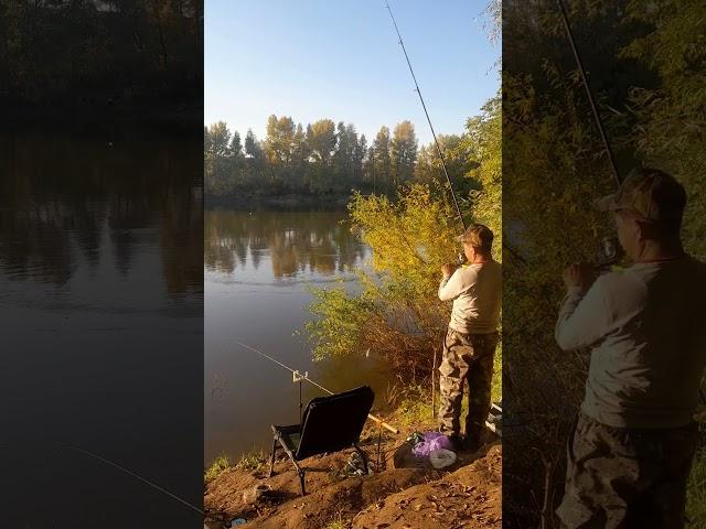 #рыбалка #fishing #carpfishing #карп #природа #рыба #озеро !Ловим живца  на хищника ждём хищника