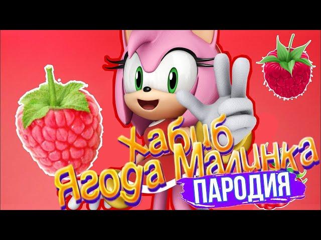 Песня Клип про ЭМИ РОУЗ Хабиб ЯГОДА МАЛИНКА ПАРОДИЯ/ СОНИК SONIC SONG / Amy Rose