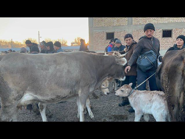 Yangiqõrģon tumani Begabod Mol bozoridan lavhalar 16.11.2024yiĺ