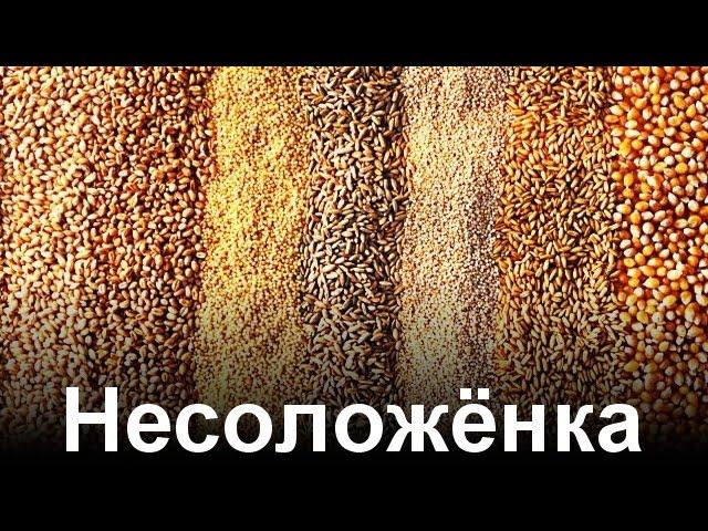 Сырьё в пивоварении. Несоложенка