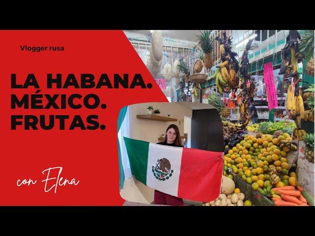 Mi viaje a América Latina. Parte 2. México. Cancún. Degustación de frutas.