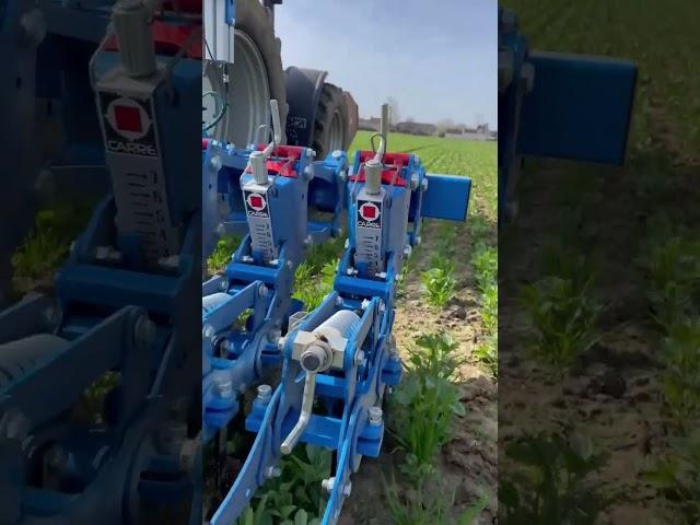 CARRÉ SAS - Bineuse ECONET avec double caméra KIPLINE  #agricole #culture #agriculteur #agriculture