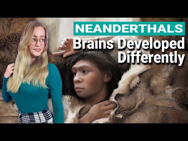 Neanderthal Brains Developed Differently