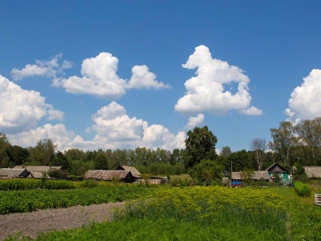 Утро в деревне: Межозерье (Вытегорский район)