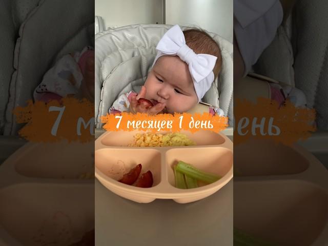 Тарелочка 7-месячного малыша  Яйцо - аллерген! #самоприкорм #blw #прикорм #6месяцев #7месяцев