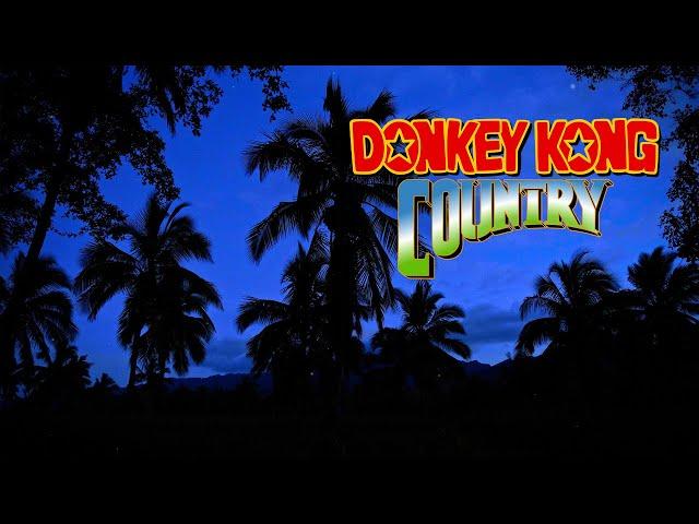 Donkey Kong Country Relaxing Music from Entire Series - Tropical Forest at Night