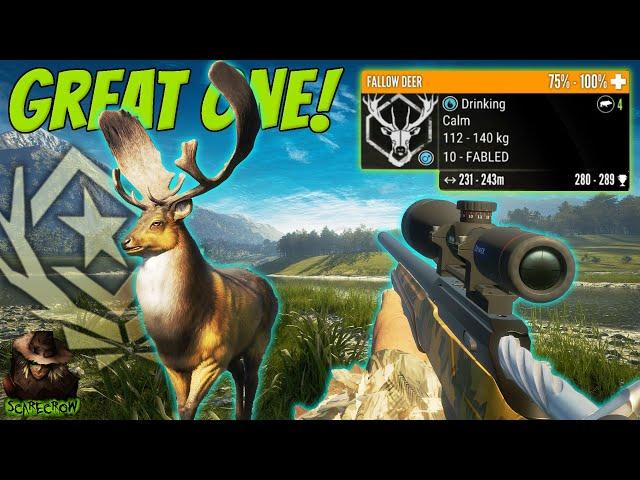 Taking The FABLED GOLDEN Great One Fallow Deer With The 22-250 Rifle! + Fallow Deer Guide!