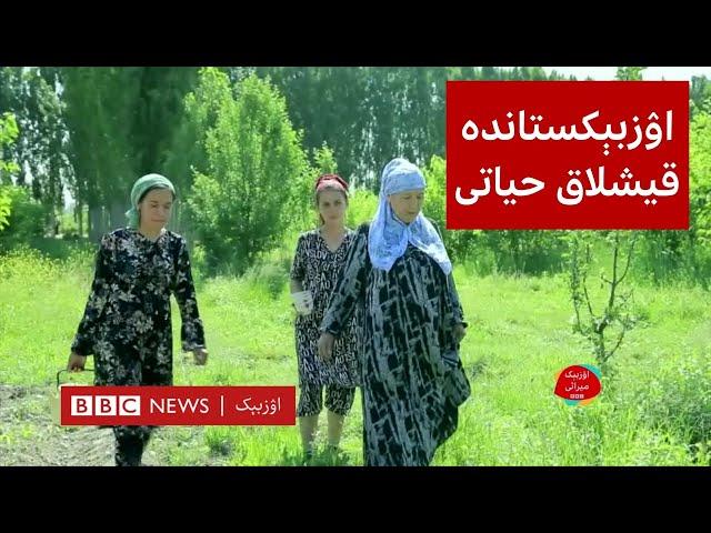 اۉزبېک میراثی: اۉزبېکستانده قیشلاق حیاتی  O'zbekiston qishloqlari hayoti