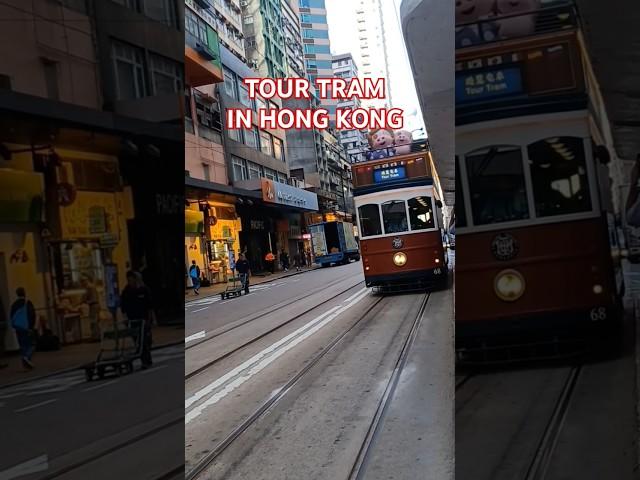 TOUR TRAM IN HONG KONG ! #shorts  #youtubeshorts #travel