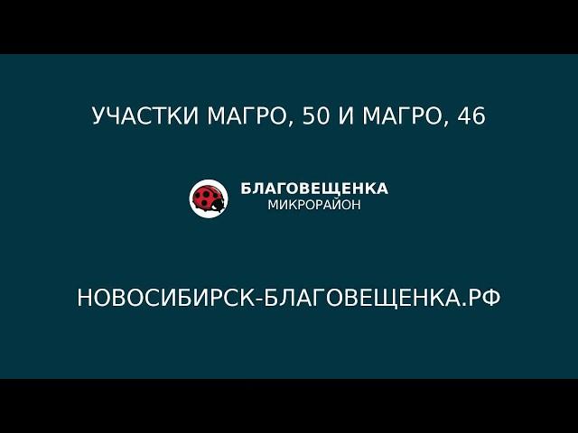 Новосибирский Академгородок. Мечты сбываются. Дом у леса. Атмосферно и экологично.