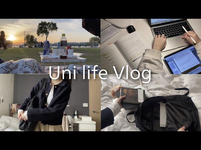 Productive Uni life | Study Vlog | lots of assignments