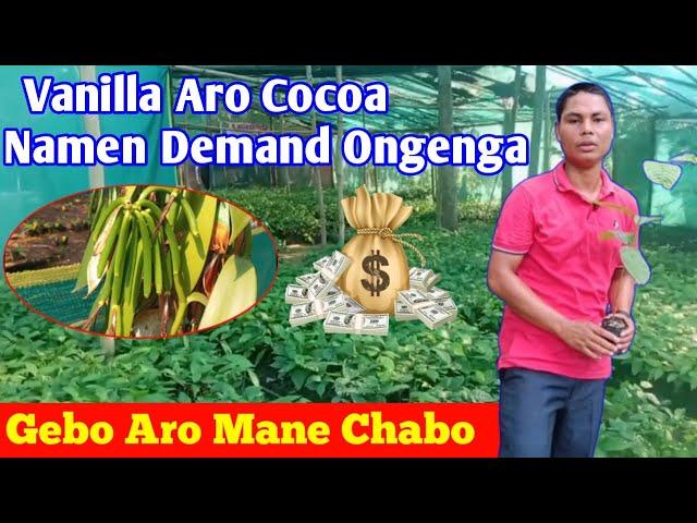 Vanilla Aro Cocoa Namen Demand Ongenga Gebo Aro Mane Chabo 