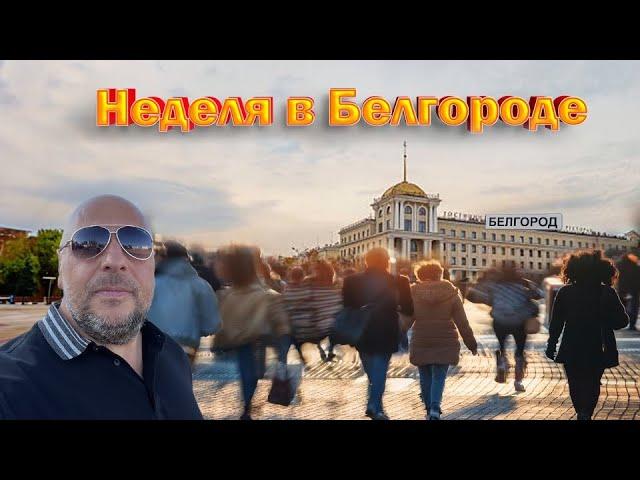 Специальный выпуск из Белгорода. 49/24