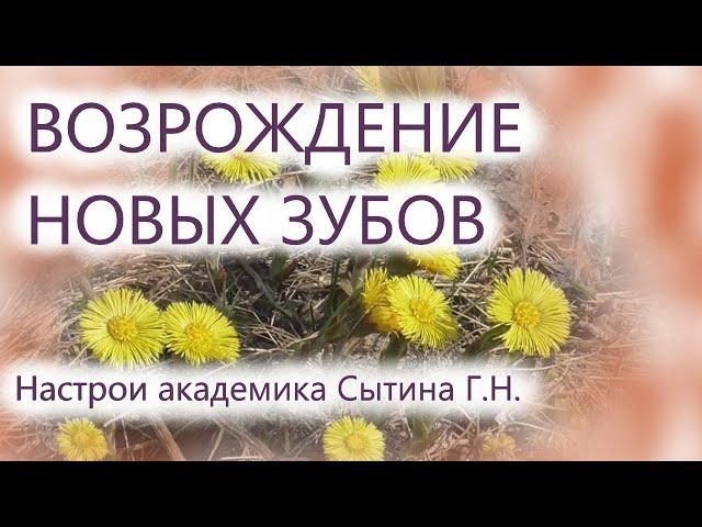 Возрождение новых зубов  Для женщин  Лечебные настрои Сытина Г.Н.