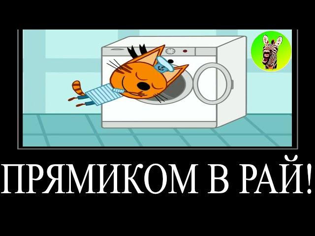 МУД ТРИ КОТА ДЕМОТИВАТОР 109 | ПРЯМИКОМ В РАЙ!