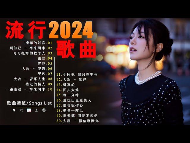 2024流行歌曲【無廣告】2024中国大陸流行歌曲️Top Chinese Songs 2024心情不好时就听听这首歌 /海来阿木 /大欢 /大壯 /半噸兄弟动态歌词  Pinyin