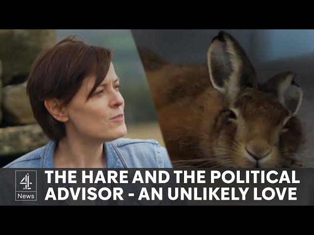 How a baby hare changed a political advisor’s life