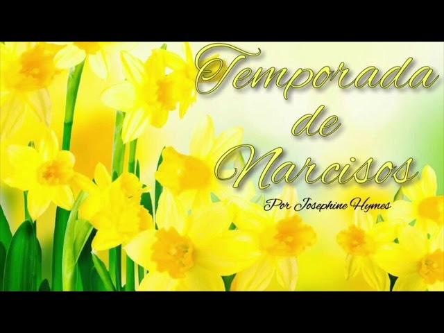 La Temporada de Narcisos |Capítulo 10| Sra. Graham - Sra. Grandchester  (Parte 2)