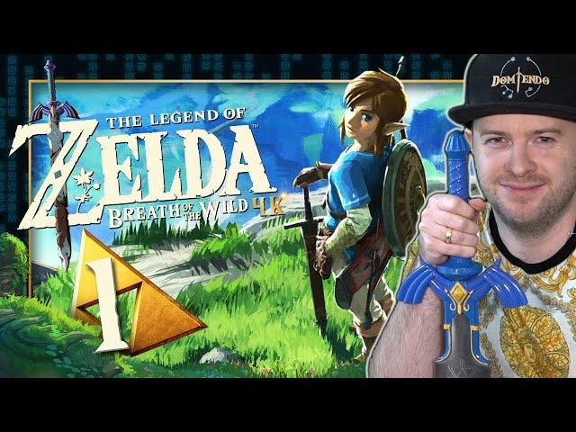 THE LEGEND OF ZELDA BREATH OF THE WILD  #1: Die Wildnis von Hyrule