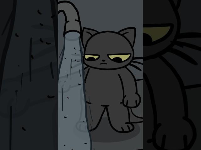 The betrayal #animation #cat