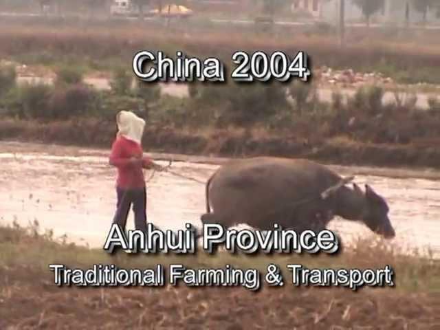 China - Traditional Farming & Steam Locomotive, Huainan 2004