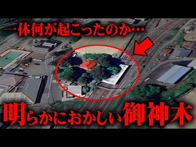 実際にあった御神木にまつわる祟りがヤバすぎる...【 都市伝説 御神木 神 祟り 】