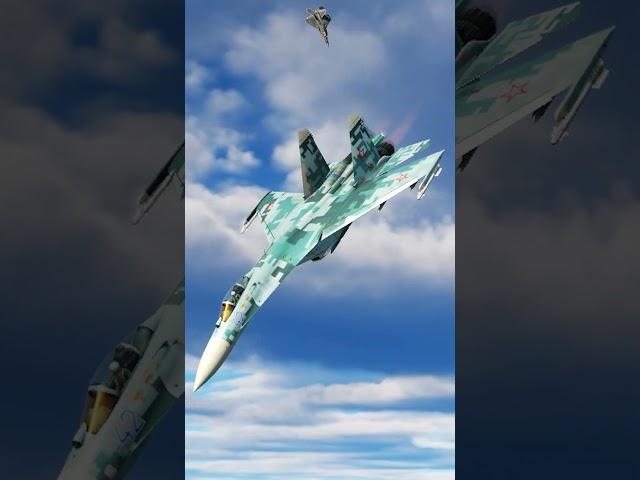 F-22 Raptor In A Dogfight Against SU-27 Flanker | DCS World