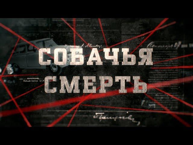 Собачья смерть | Вещдок