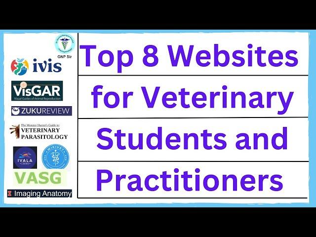 Top Veterinary Websites: A Vet's Best Friend Online