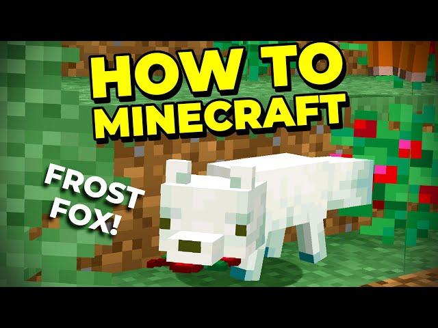 Finding New Biomes With Elytra + Frost Fox!! - How to Minecraft #22