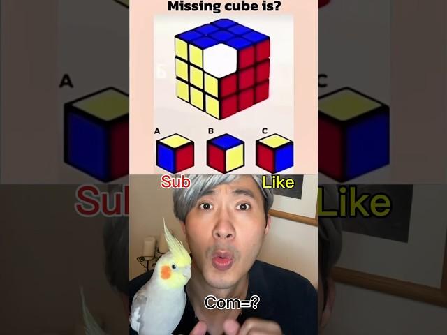 Which one is the missing cube?#funny #comedy