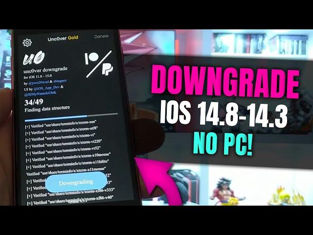 Downgrade iOS 14.8 back to 14.3 or lower without PC (dont need own blops)