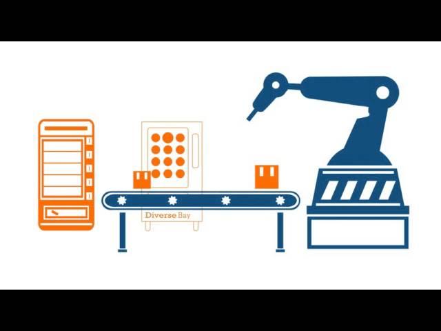 Diverse Electronics Industrial Vending Program