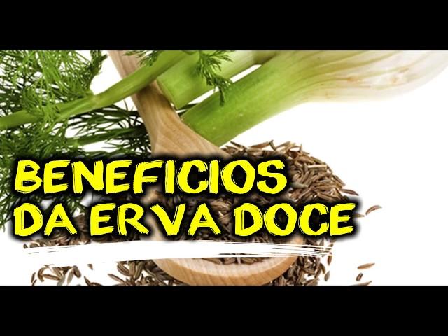 CONHEÇA OS BENEFICIOS DO CHÁ DE ERVA DOCE PARA O CORPO  (POR FERNANDO COUTO)