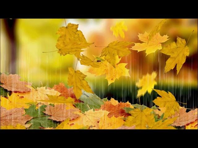 Video screensaver Autumn leaves Groza