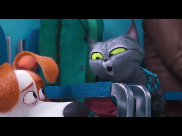 Doblaje de Mascotas 2