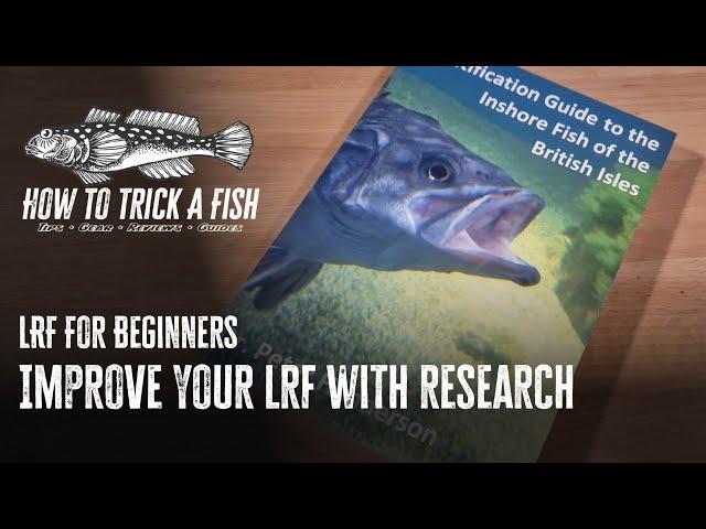 LRF for Beginners - How to learn about Light Rock Fishing #lrfuk