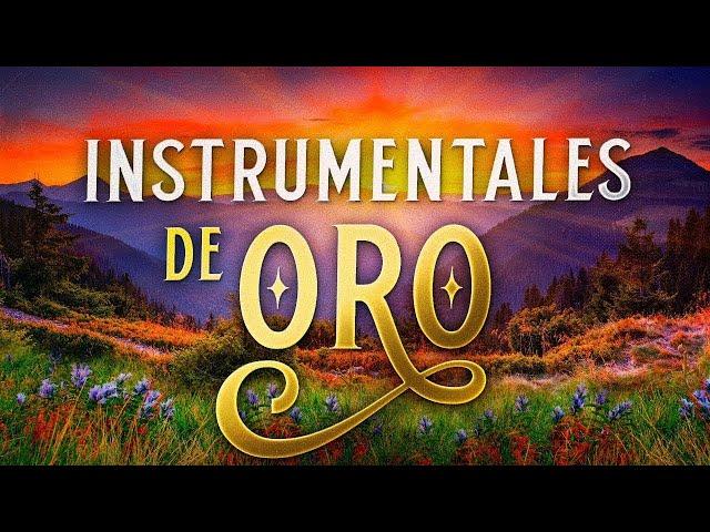 Instrumentales De Oro Del Recuerdo Las Mejores Canciones Instrumentales