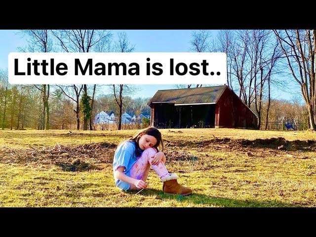 Little Mama is lost..  Will we find her?