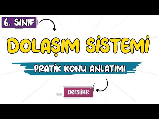 Dolaşım Sistemi | 6. Sınıf Fen Bilimleri | 2023