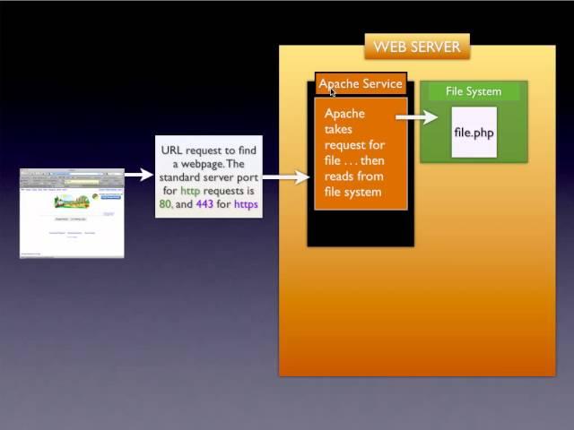 The PHP Process Explained