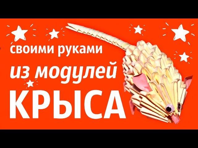 Крыса СИМВОЛ 2020 Из Модулей | Модульное Оригами | Мастер Класс