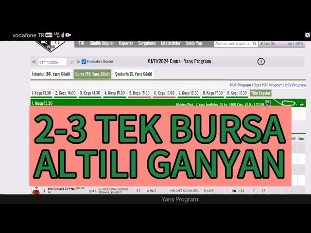 1 Kasım 2024 Cuma Bursa at yarışı tahminleri Bursa altılı ganyan tahminleri | Oğulcan Karaca