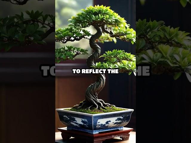 Discover the Magic of Bonsai Trees