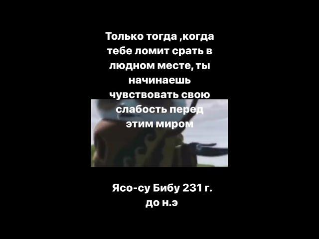 Мудрости Мастера Шифу | Подборка Мемов ТикТок